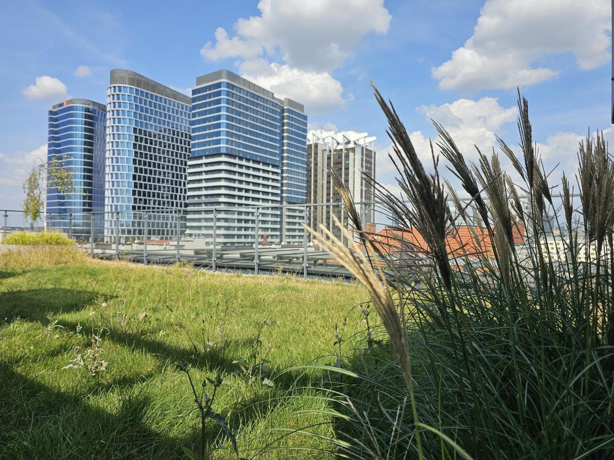 Urban Apartments Premium, Opolska 10 No 67B, Free Garage, Self Check-In Katowice Ngoại thất bức ảnh